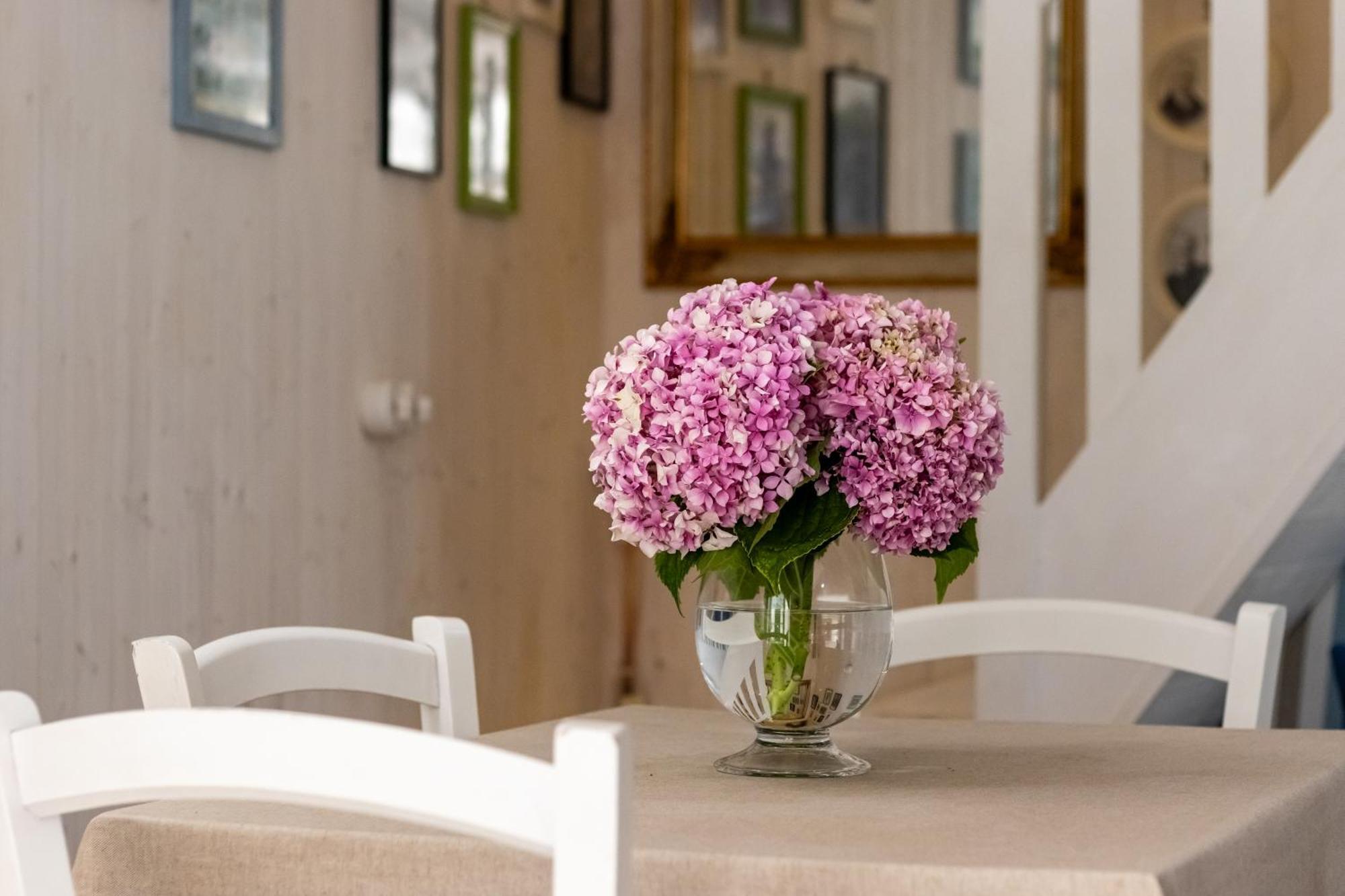 Emma'S House Villa Sasseta Екстериор снимка